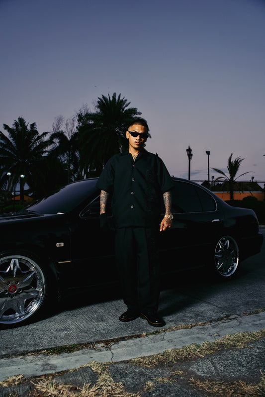 GD SCRIPT BUTTON DOWN POLO